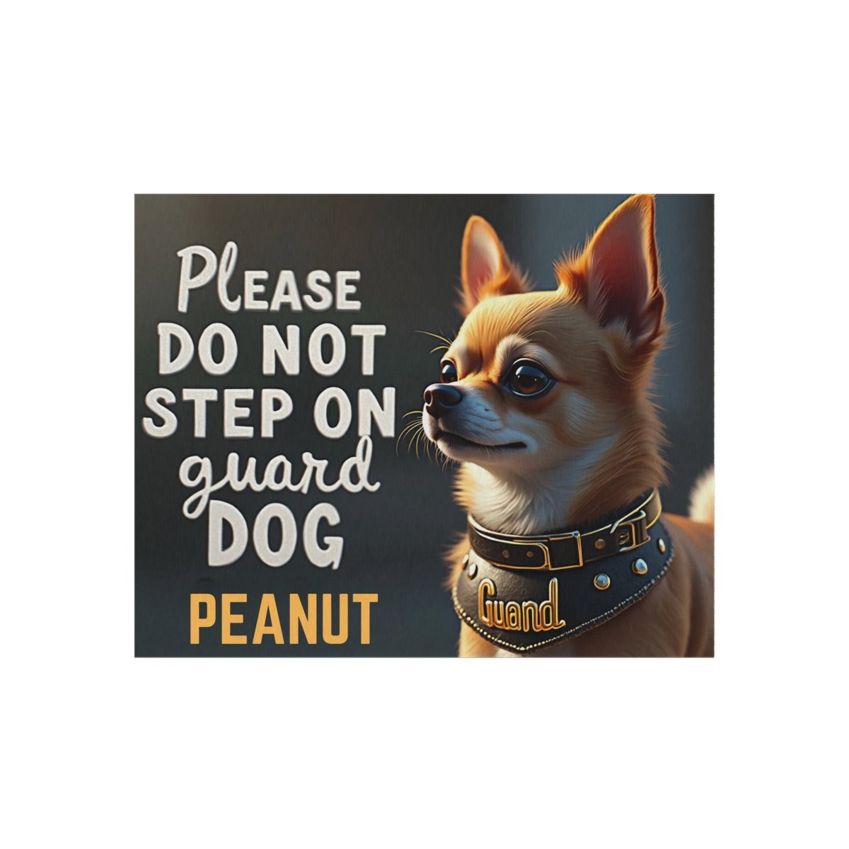 Outdoor Rug - Welcome Mat About the Dog - Buy That Thang