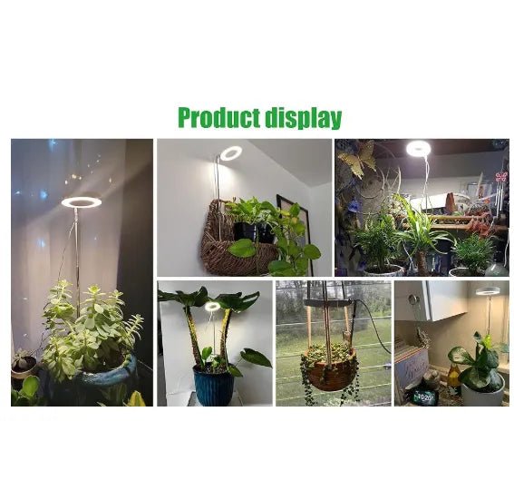 Timing Dimming Succulent Bonsai Plant Grow Light - Buy That Thang