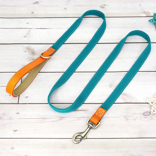 Nylon Custom Dog Puppy Collar Leash Set Personalized Genuine Leather