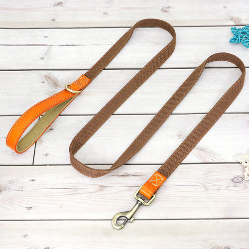 Nylon Custom Dog Puppy Collar Leash Set Personalized Genuine Leather