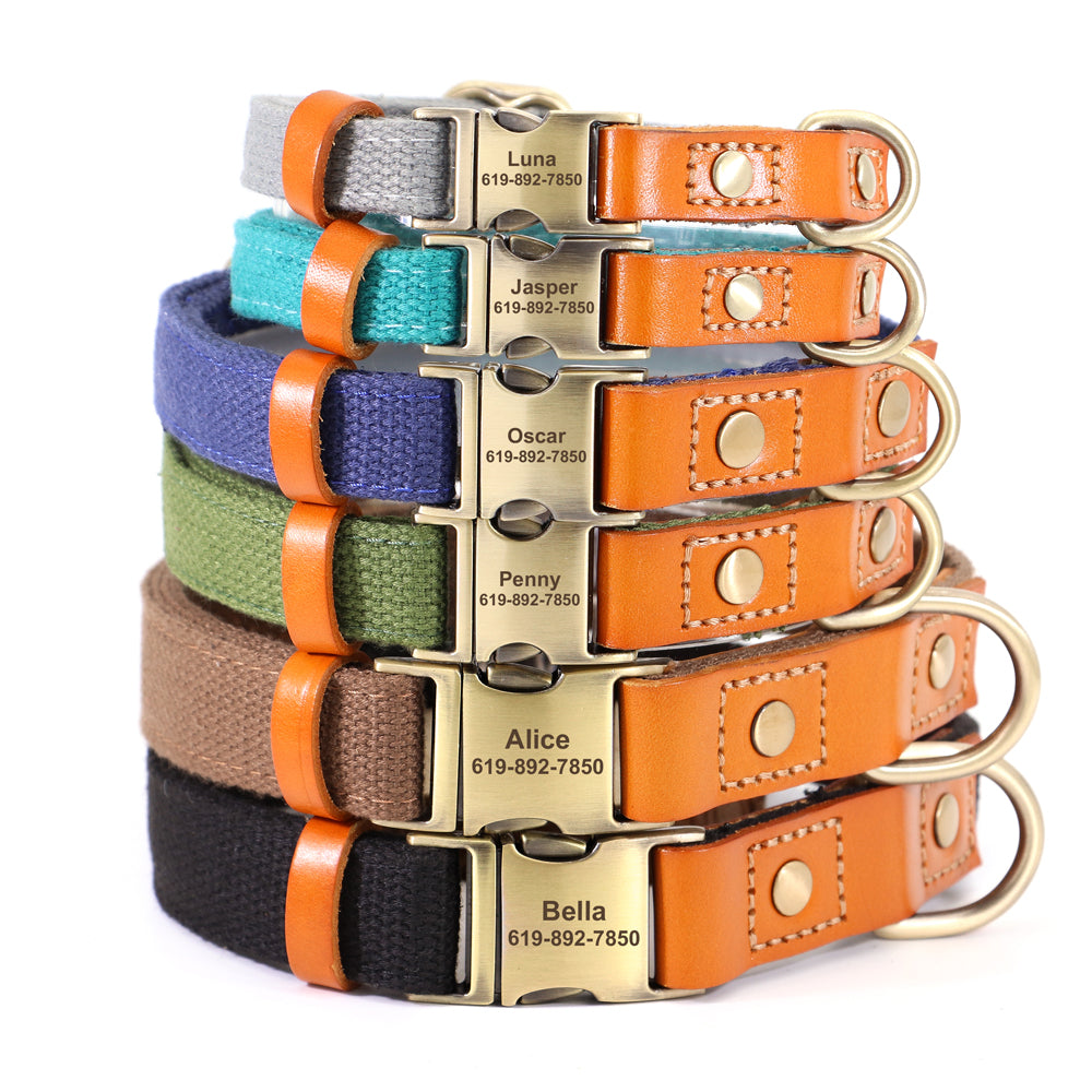 Nylon Custom Dog Puppy Collar Leash Set Personalized Genuine Leather