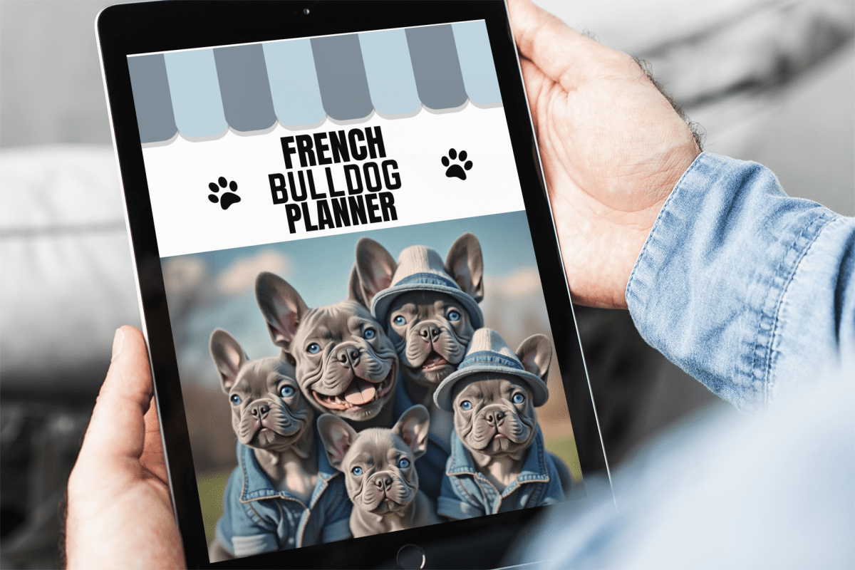 French Bull Dog Digital Planner and 2025 Calendar - Buy That Thang