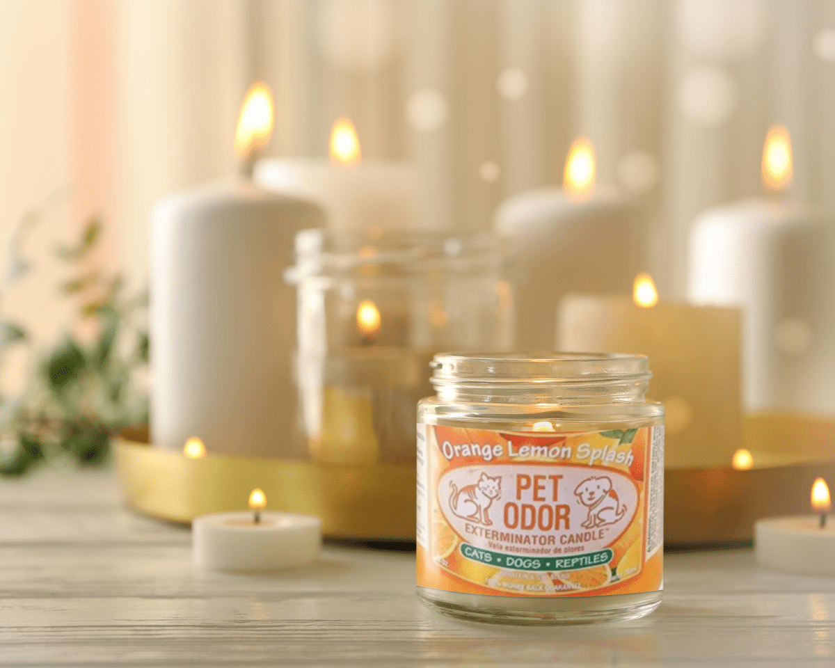 0 Pet Odor Exterminator Candle Orange Lemon Splash - Buy That Thang