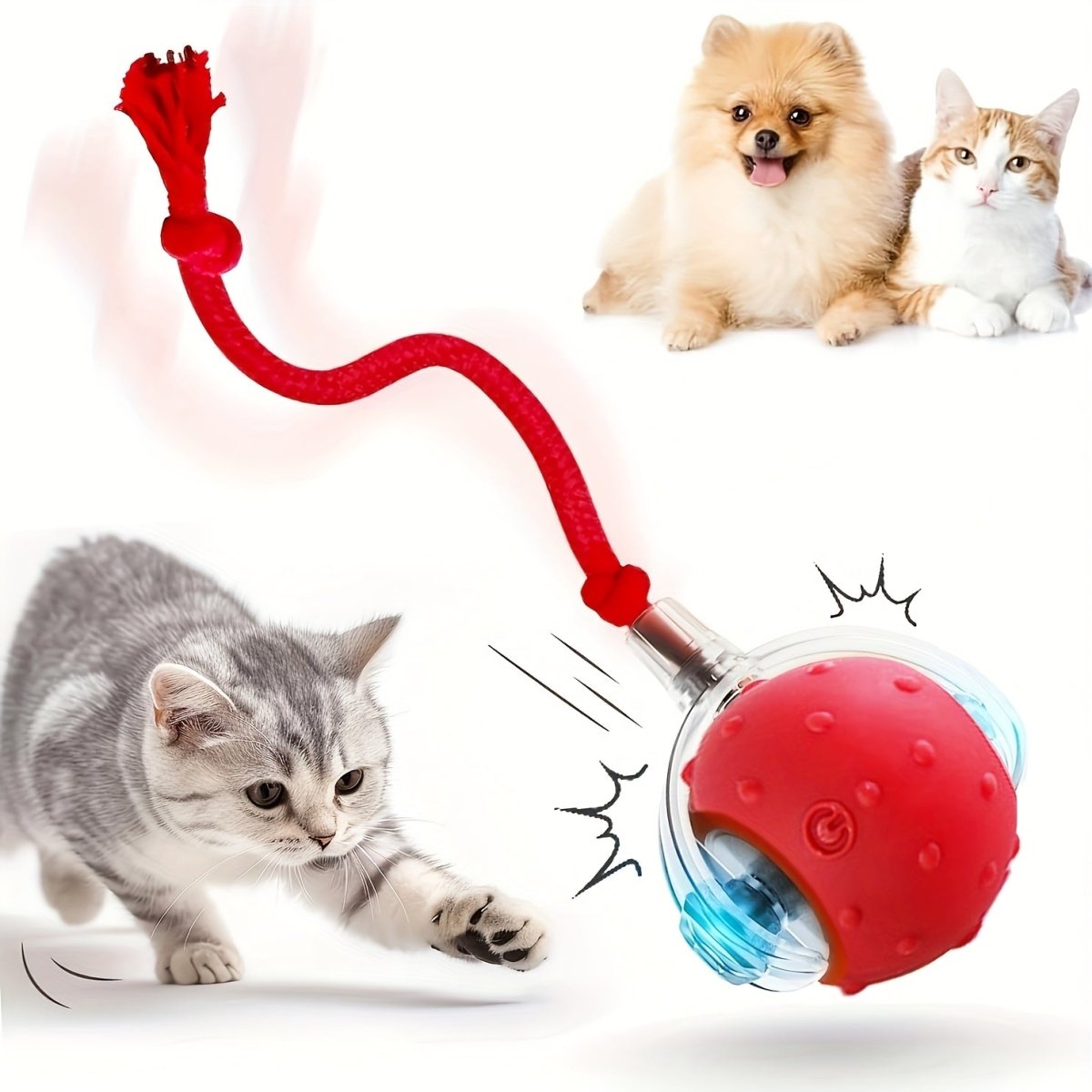 1/2/3pcs Interactive Cat & Dog Toys Balls - Automatic Electric Fast Moving Rolling Ball with USB Rechargeable Motor, 36V Safe Operation, No Batteries Needed for Indoor Play, Durable Plastic Construction, Ideal Gift for Cats & - Buy That Thang