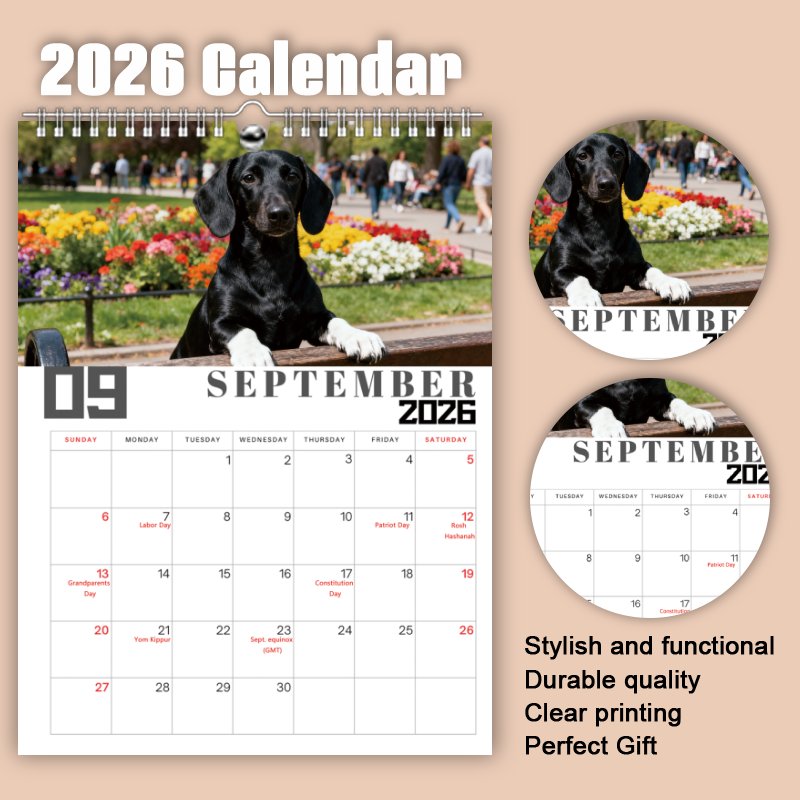 [Dachshund Calendar] 2026 Dachshund Wall Calendar - 1pc Large 11x8.2 Monthly Planner with Puppy Photos, Durable Yearly Gift for Pet Lovers, Christmas/Birthday Present (January 2026 - December 2026)
