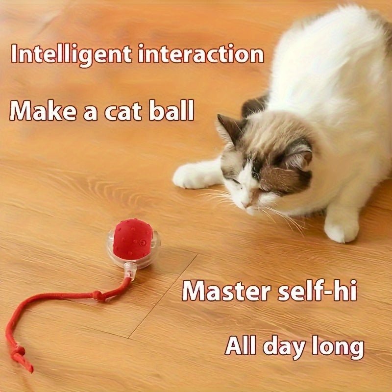 1/2/3pcs Interactive Cat & Dog Toys Balls - Automatic Electric Fast Moving Rolling Ball with USB Rechargeable Motor, 36V Safe Operation, No Batteries Needed for Indoor Play, Durable Plastic Construction, Ideal Gift for Cats & - Buy That Thang