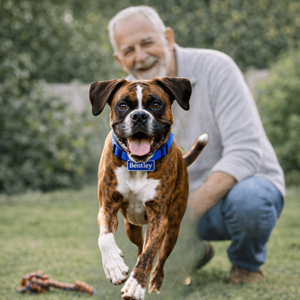 Custom Dog Memorial Stake – Personalized Boxer Dog Metal Grave Marker & Sympathy Gift - Buy That Thang