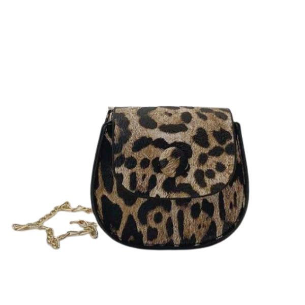 Mini Fashion Trendy Crossbody Bag Women
