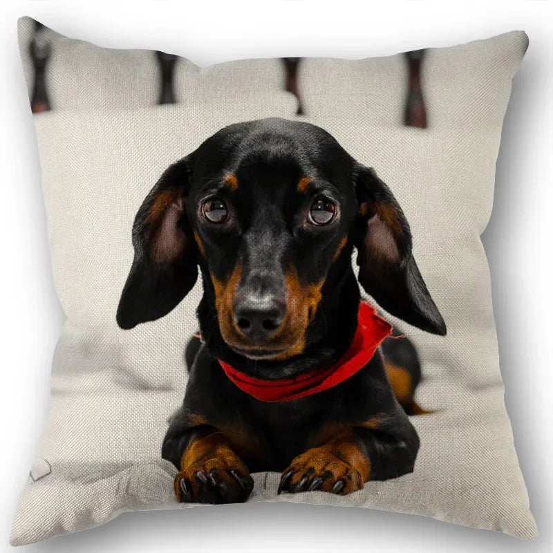 Dachshund Pillowcase Square Zipper  Home Wedding Decoration Non-fading