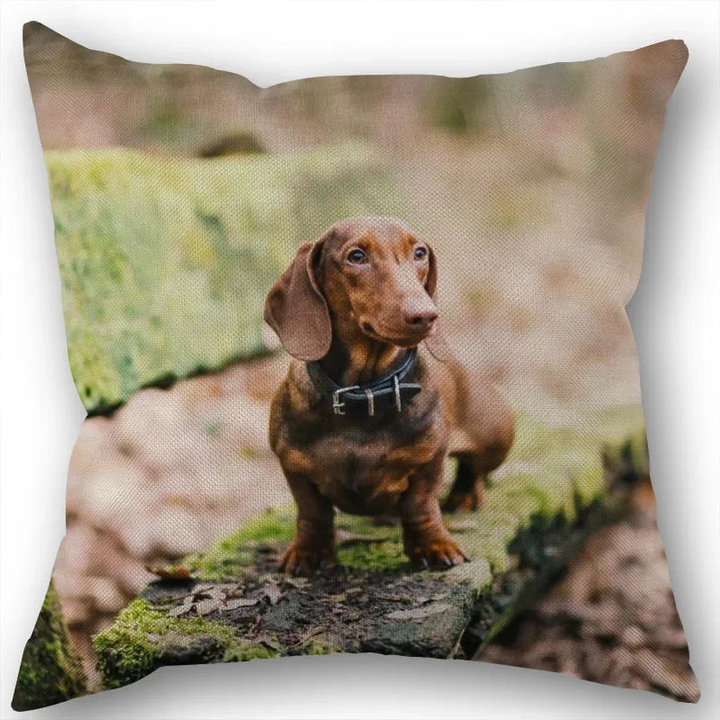 Dachshund Pillowcase Square Zipper  Home Wedding Decoration Non-fading