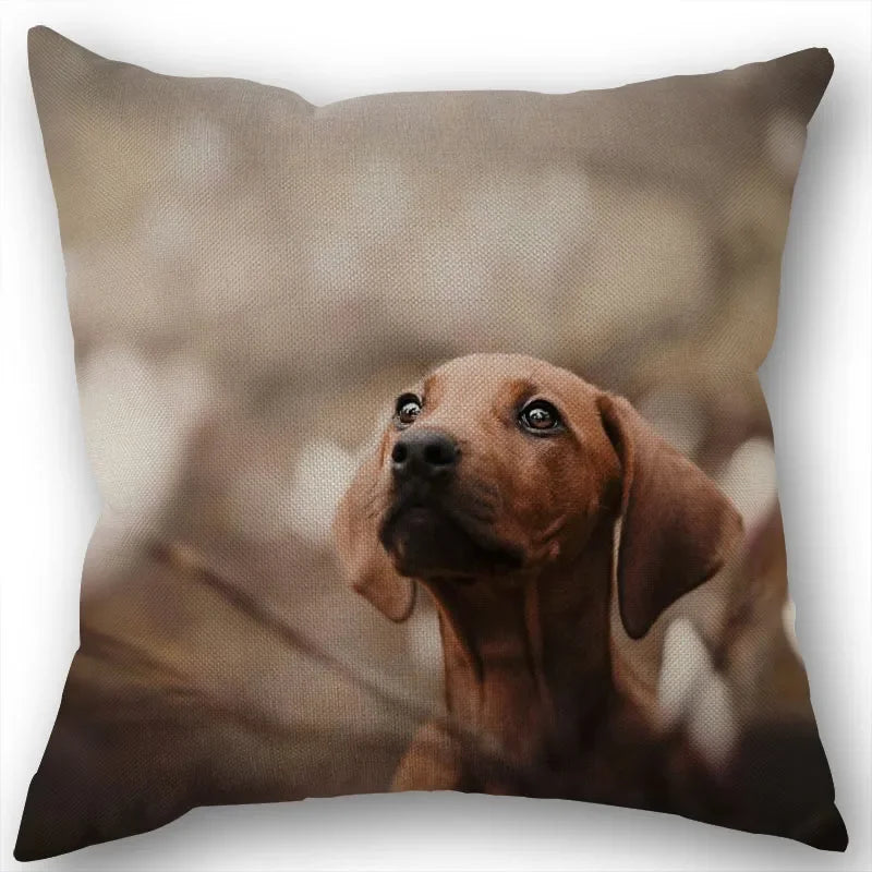 Dachshund Pillowcase Square Zipper  Home Wedding Decoration Non-fading