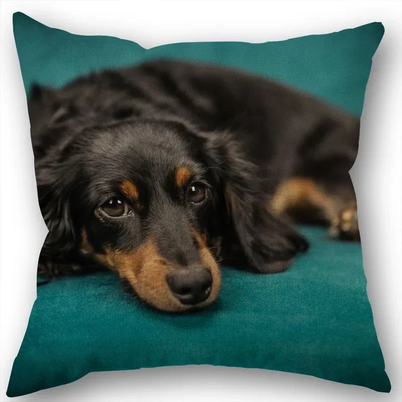 Dachshund Pillowcase Square Zipper  Home Wedding Decoration Non-fading