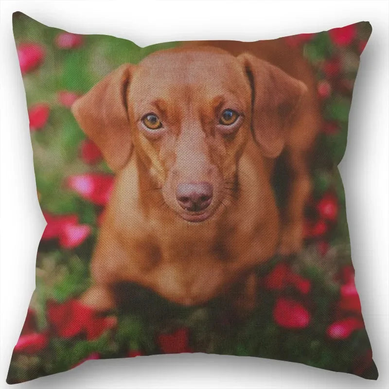 Dachshund Pillowcase Square Zipper  Home Wedding Decoration Non-fading