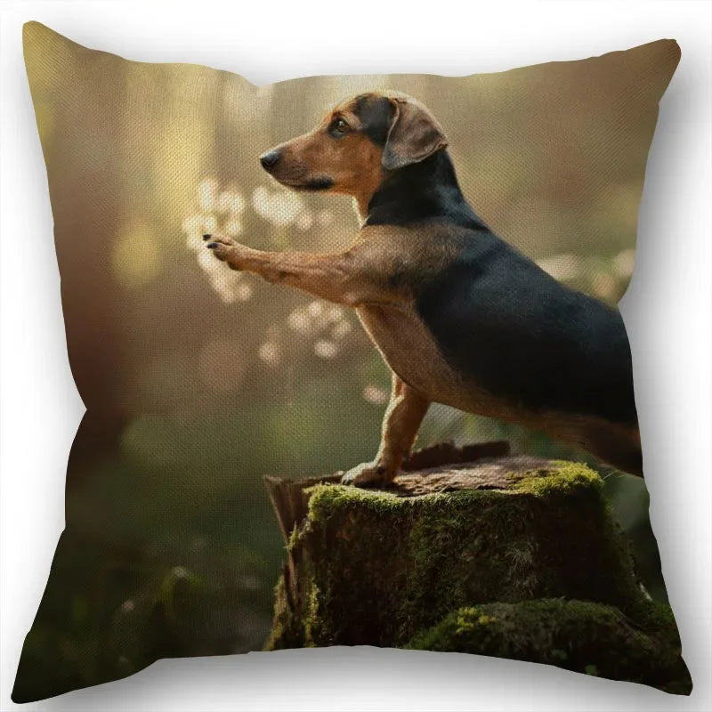 Dachshund Pillowcase Square Zipper  Home Wedding Decoration Non-fading