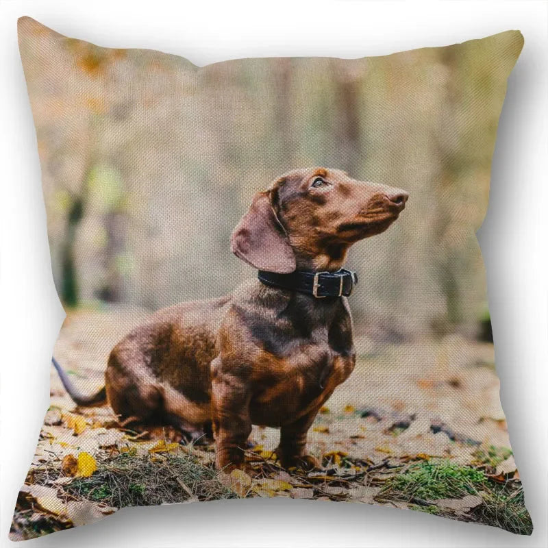 Dachshund Pillowcase Square Zipper  Home Wedding Decoration Non-fading