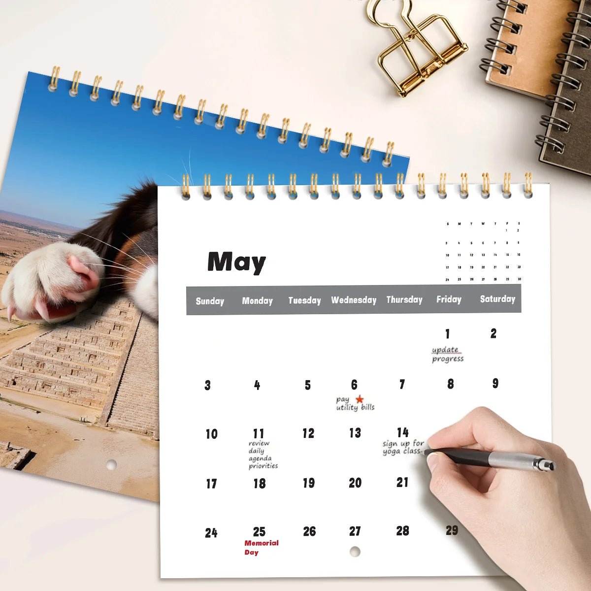 Funny Magical Dog Wall Calendar 2026 Unique Calendar Gift for Friends Family Neighbors Coworkers Relatives Loved Ones - Buy That Thang