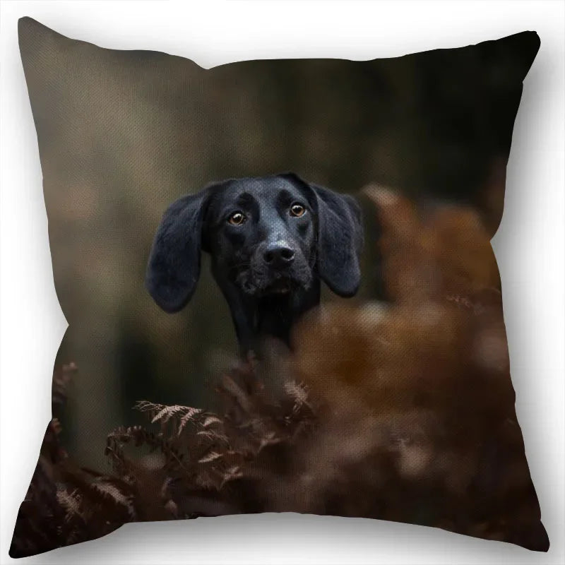 Dachshund Pillowcase Square Zipper  Home Wedding Decoration Non-fading