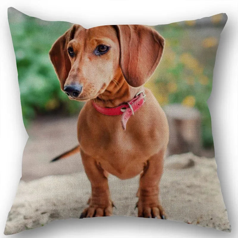 Dachshund Pillowcase Square Zipper  Home Wedding Decoration Non-fading