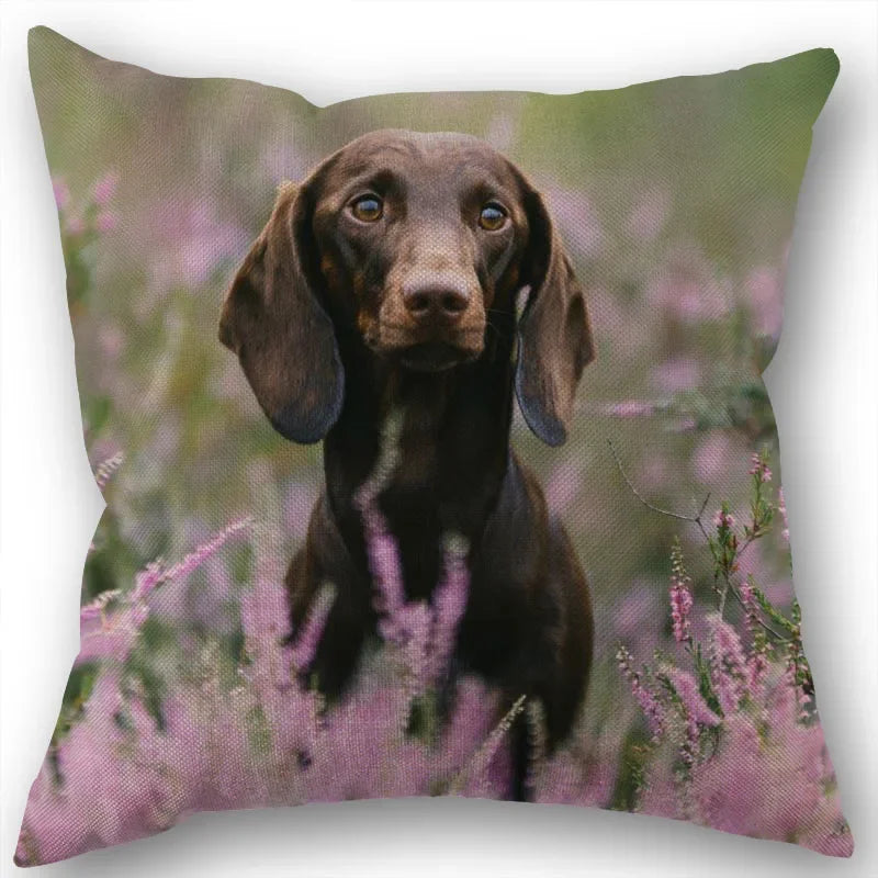 Dachshund Pillowcase Square Zipper  Home Wedding Decoration Non-fading