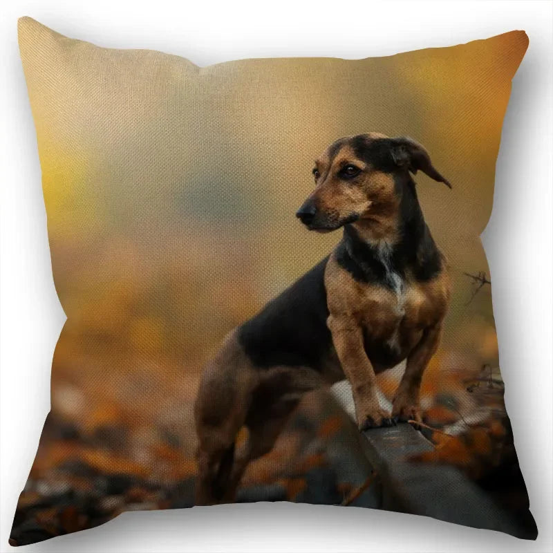 Dachshund Pillowcase Square Zipper  Home Wedding Decoration Non-fading