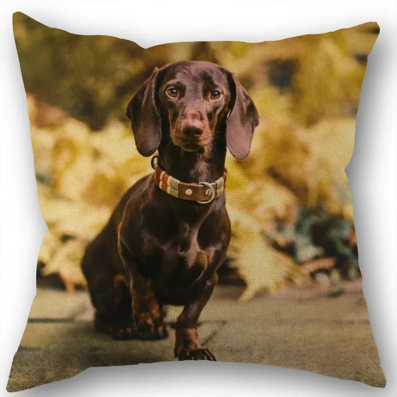 Dachshund Pillowcase Square Zipper  Home Wedding Decoration Non-fading
