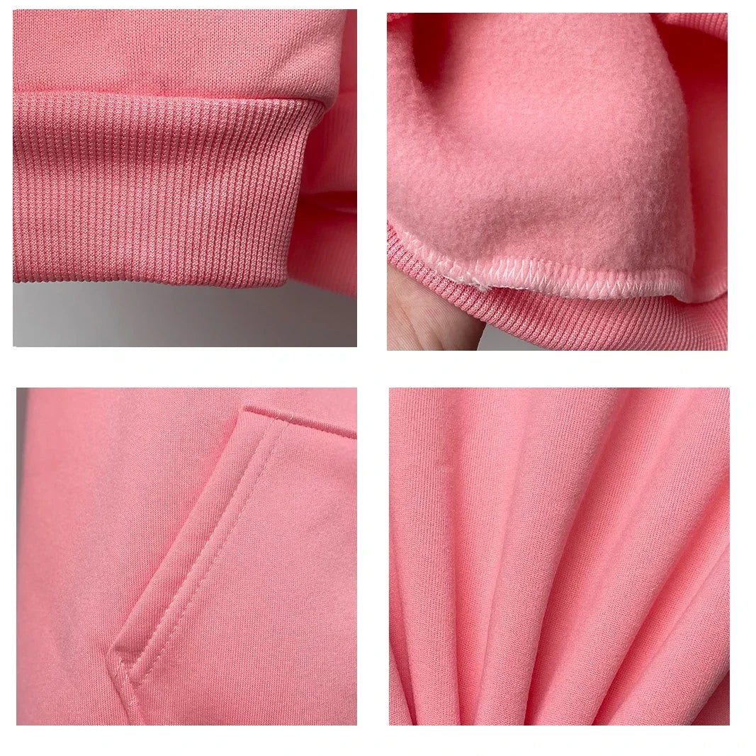 Dachshund hoodies women funny anime Korean style 2023 Hooded Shirt clothing women gothic sweatshirts