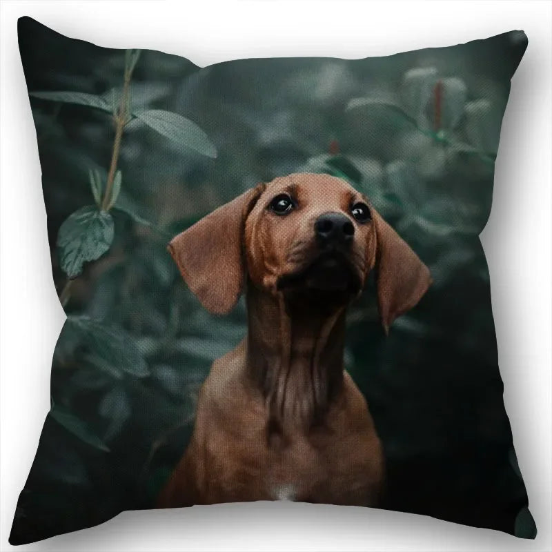 Dachshund Pillowcase Square Zipper  Home Wedding Decoration Non-fading