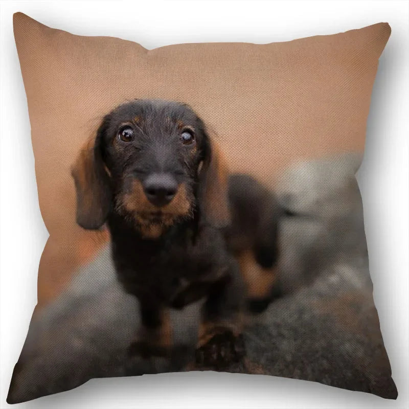 Dachshund Pillowcase Square Zipper  Home Wedding Decoration Non-fading