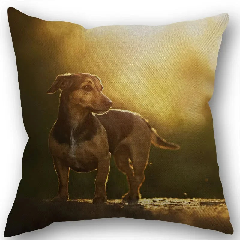 Dachshund Pillowcase Square Zipper  Home Wedding Decoration Non-fading