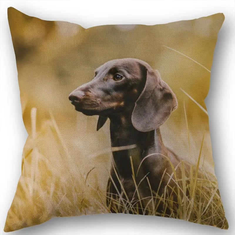 Dachshund Pillowcase Square Zipper  Home Wedding Decoration Non-fading