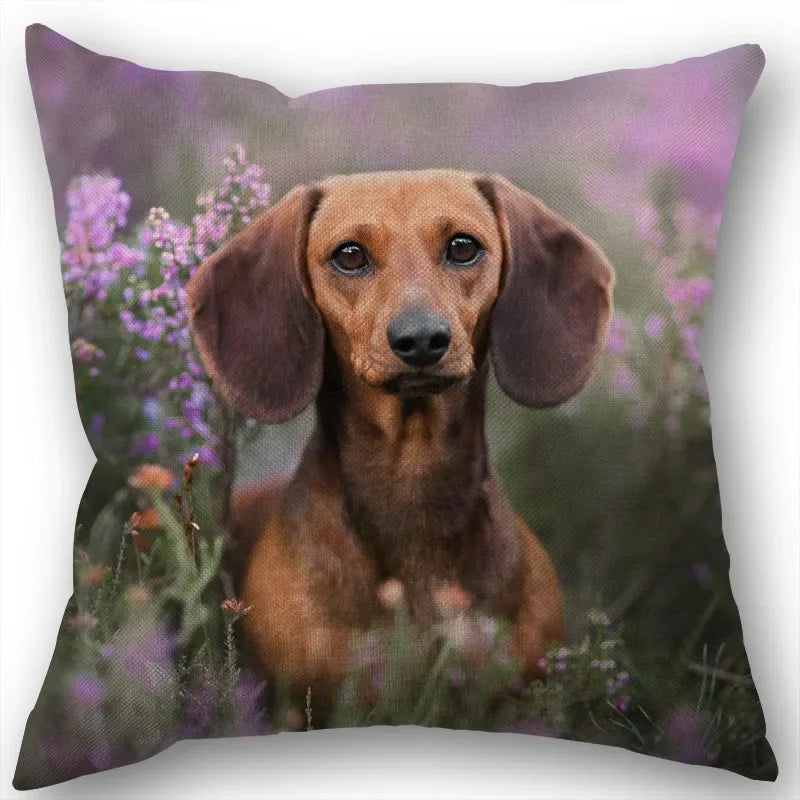 Dachshund Pillowcase Square Zipper  Home Wedding Decoration Non-fading