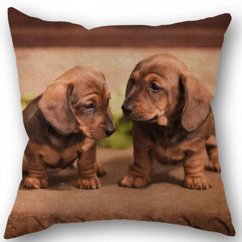 Dachshund Pillowcase Square Zipper  Home Wedding Decoration Non-fading
