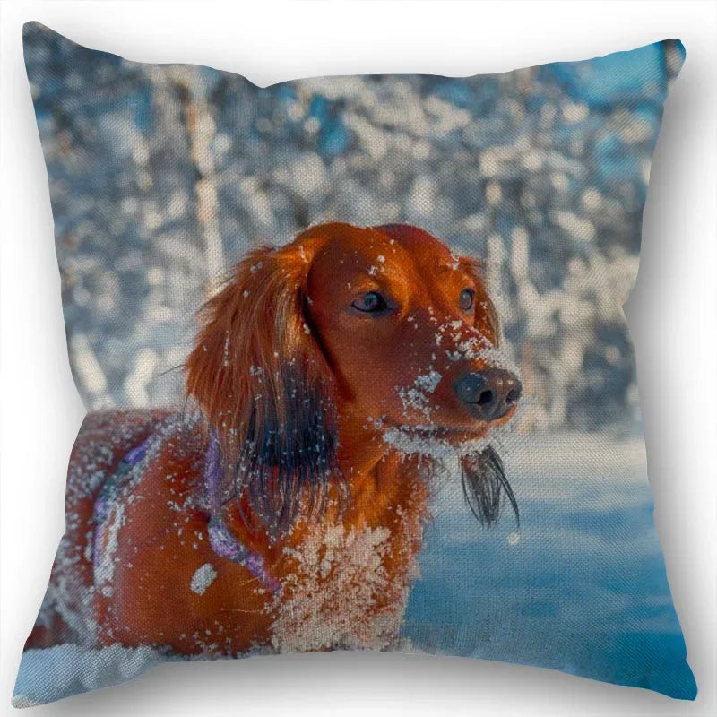 Dachshund Pillowcase Square Zipper  Home Wedding Decoration Non-fading