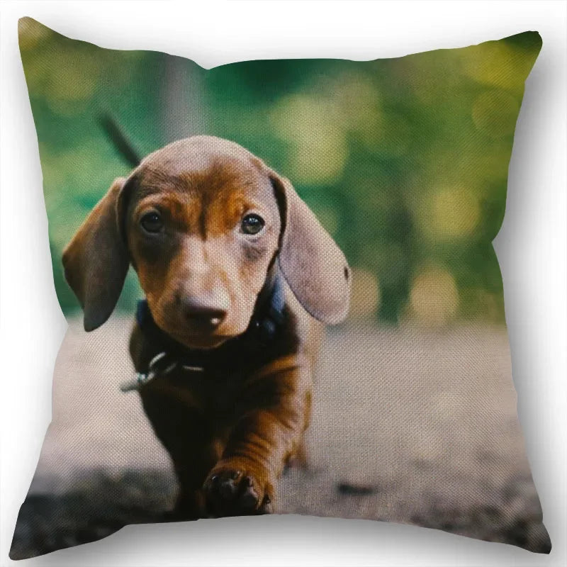 Dachshund Pillowcase Square Zipper  Home Wedding Decoration Non-fading