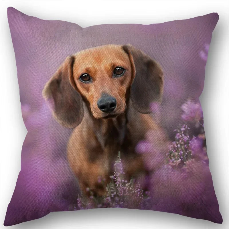Dachshund Pillowcase Square Zipper  Home Wedding Decoration Non-fading