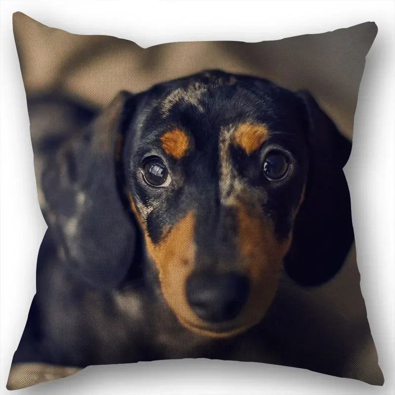 Dachshund Pillowcase Square Zipper  Home Wedding Decoration Non-fading