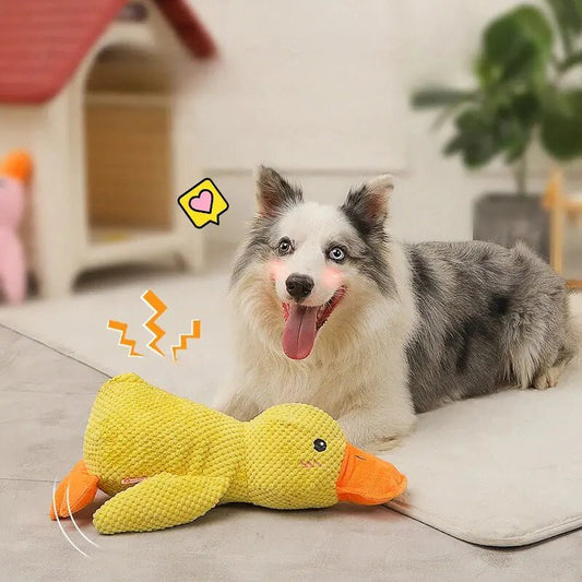 Calming Duck - Buy That Thang