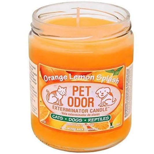 0 Pet Odor Exterminator Candle Orange Lemon Splash - Buy That Thang