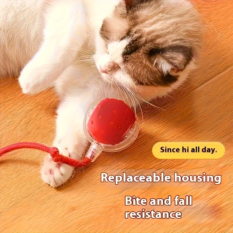 1/2/3pcs Interactive Cat & Dog Toys Balls - Automatic Electric Fast Moving Rolling Ball with USB Rechargeable Motor, 36V Safe Operation, No Batteries Needed for Indoor Play, Durable Plastic Construction, Ideal Gift for Cats & - Buy That Thang