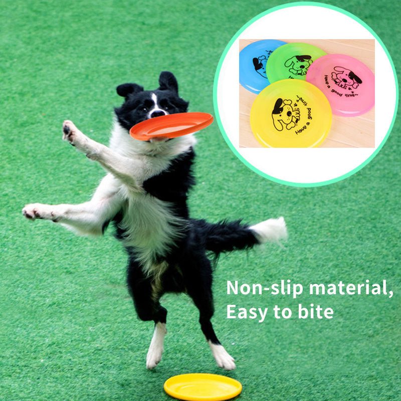 Pet Supplies Dog Outdoor Interactive Toys - Buy That Thang