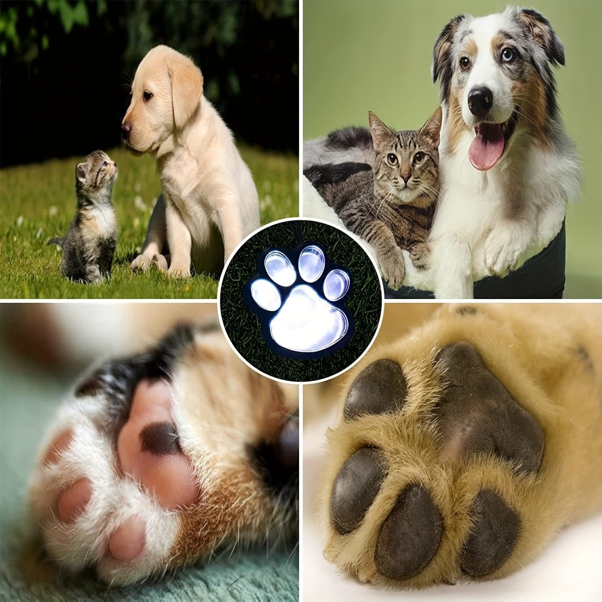 3pcs Solar LED Pet Paw Print Channel Lights - IP44 Outdoor Decorative Lights For Gardens, Lawns & Terraces - Pet - Safe (Cat & Dog Friendly) - Durable Plastic With Metal Veneer - Solar - Powered Outdoor Lights For Holiday Garden - Buy That Thang