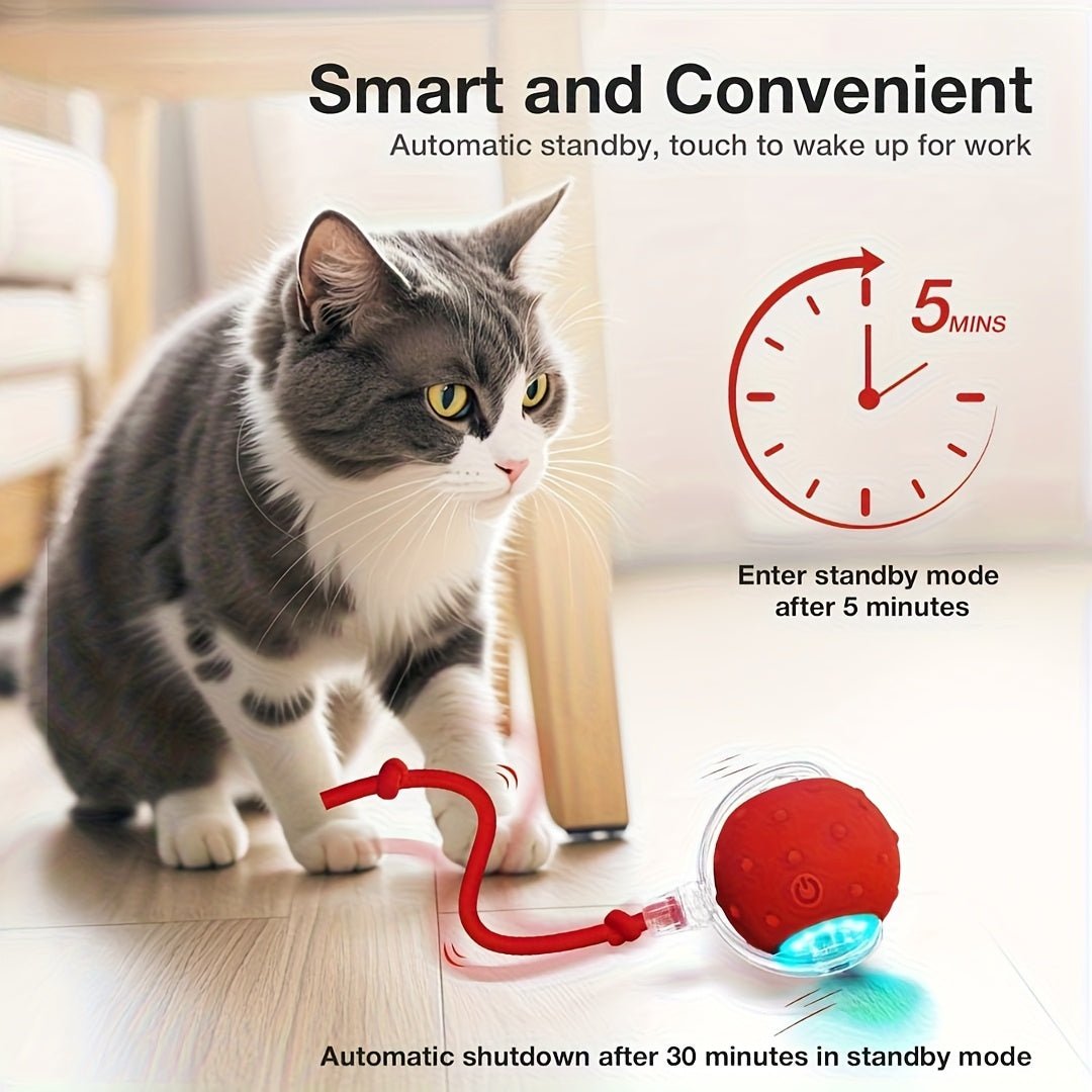 1/2/3pcs Interactive Cat & Dog Toys Balls - Automatic Electric Fast Moving Rolling Ball with USB Rechargeable Motor, 36V Safe Operation, No Batteries Needed for Indoor Play, Durable Plastic Construction, Ideal Gift for Cats & - Buy That Thang