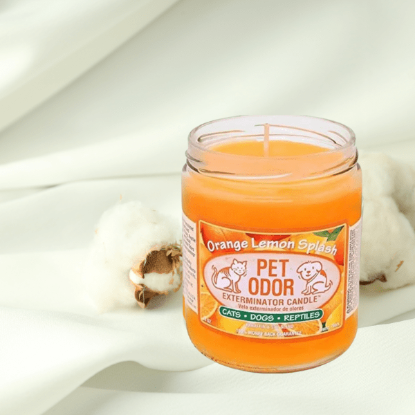 0 Pet Odor Exterminator Candle Orange Lemon Splash - Buy That Thang