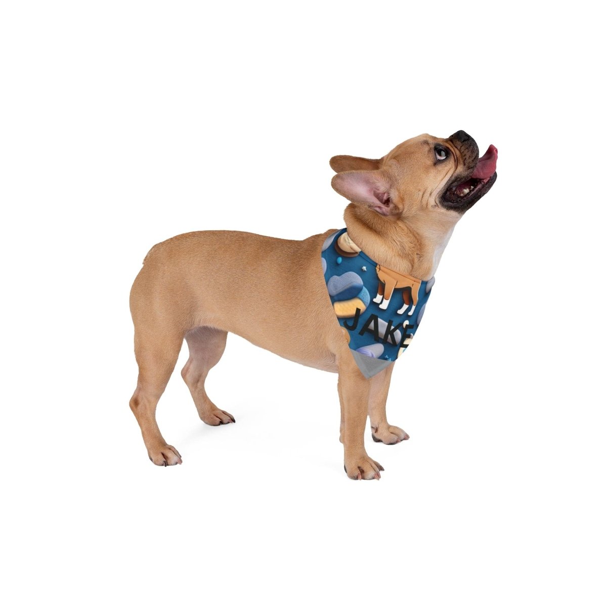 Pet Bandana - Buy That Thang